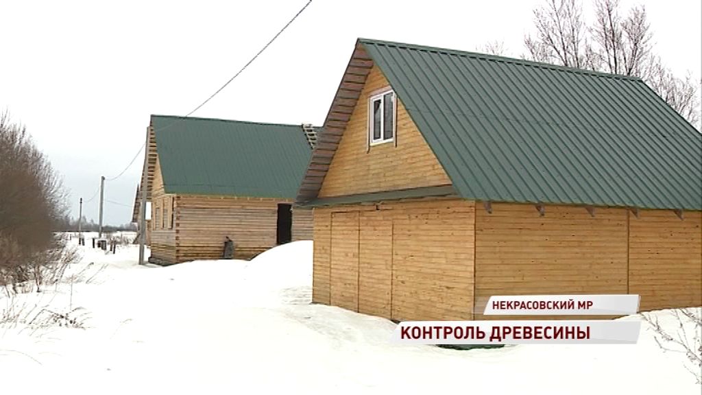 Купил древесину — строй: в Ярославской области лесные инспекторы проверили несколько земельных участков