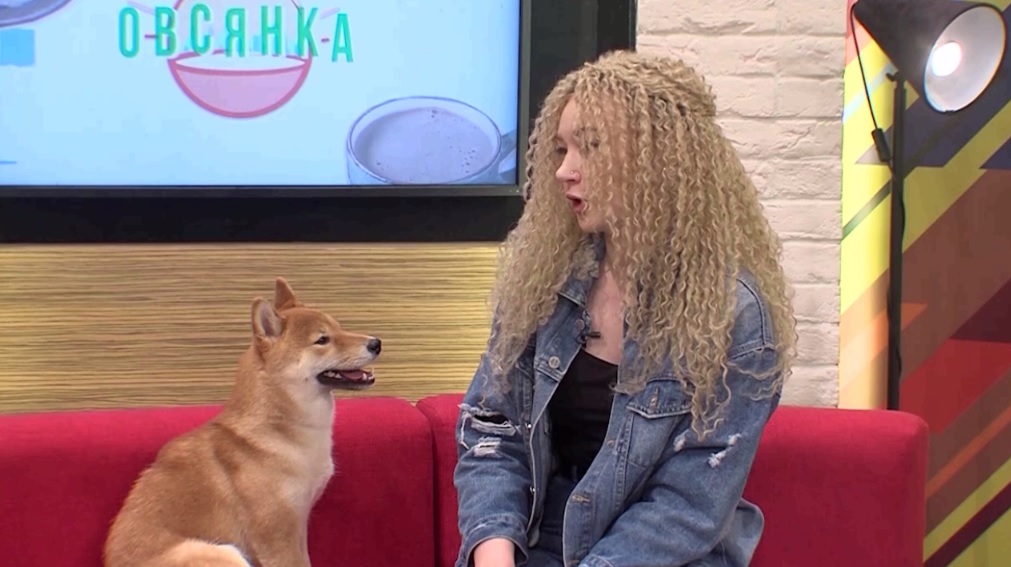 Утреннее шоу «Овсянка» от 28.09.20: о сиба-ину и гибридах вишни и черешни