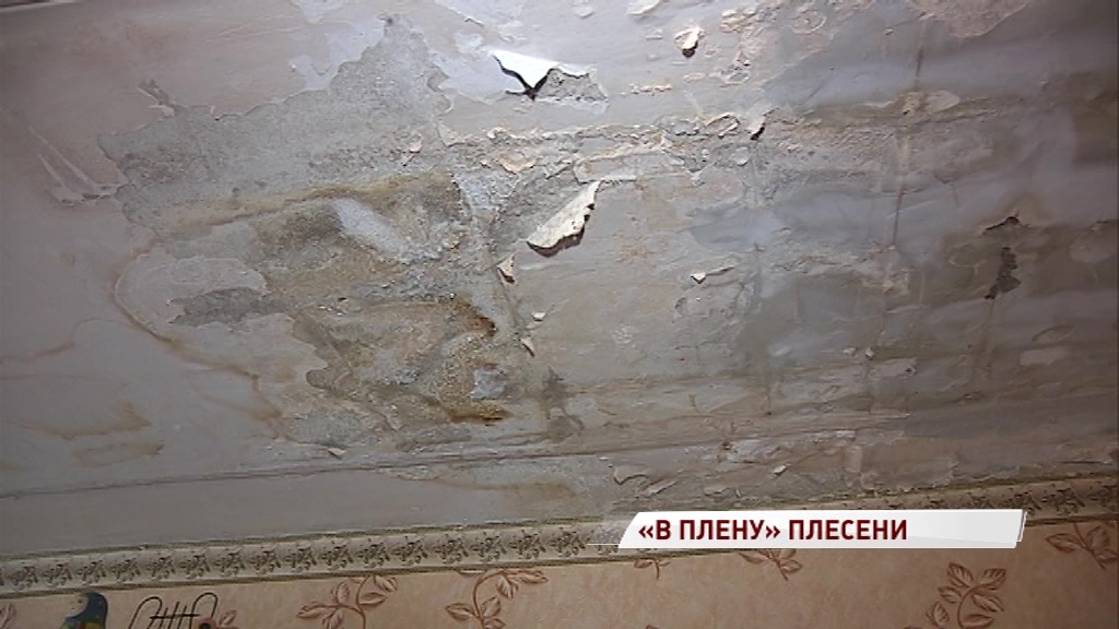 Жители дома страдают от черной плесени из-за дырявой крыши: кто ответит за подкошенное здоровье