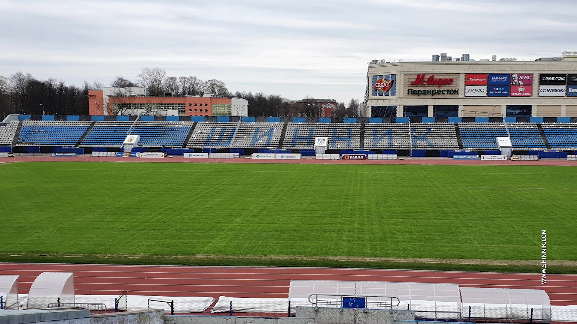 На стадионе «Шинник» выросла трава