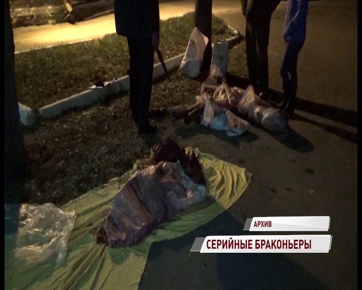 Браконьеры, убившие шесть лосей, ожидают суда