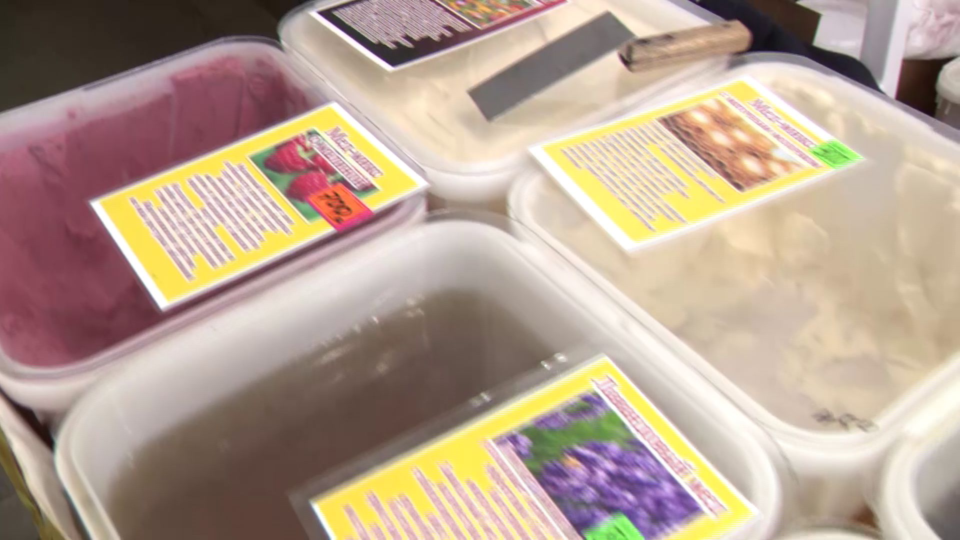 На ярославской выставке можно продегустировать более 20 видов меда