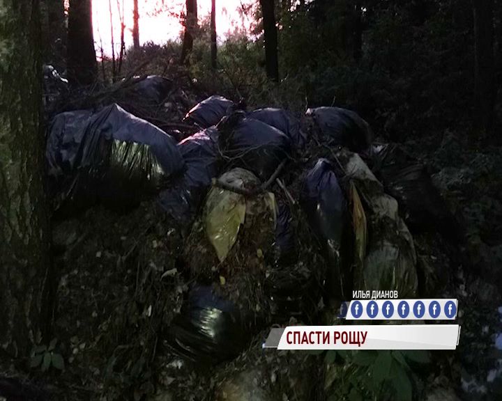 На берегу Волги неизвестные устроили свалку