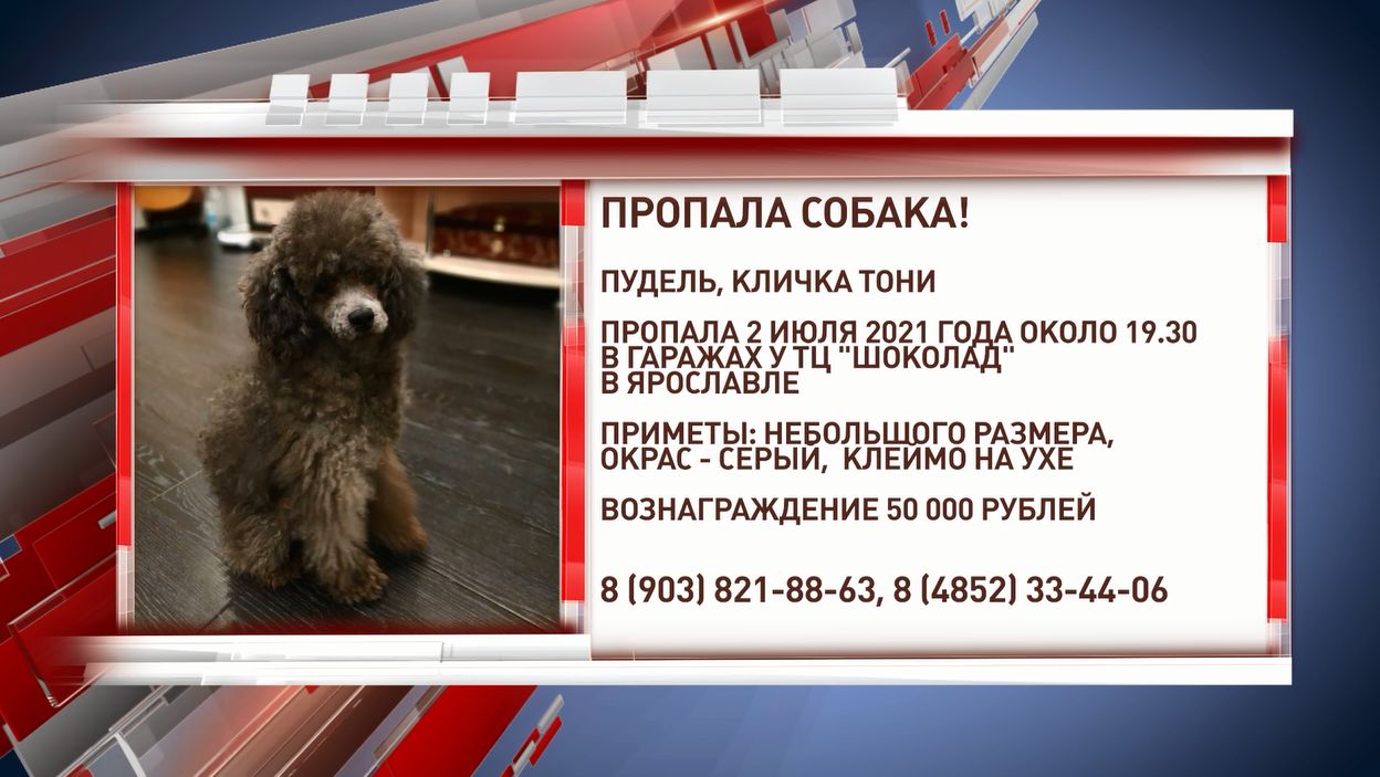 https://admin.xn--b1amnebsh2h.xn--p1ai/upload/content/387/wg7xz3le3v1qgw94rinfiukx1xfcpj99.jpg