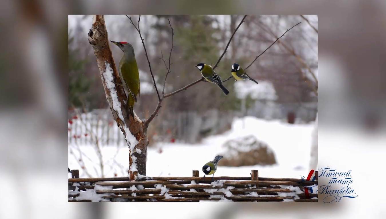 Утреннее шоу «Овсянка» от 02.04.21: знакомимся с фотохудожником и делаем плетеный брелок