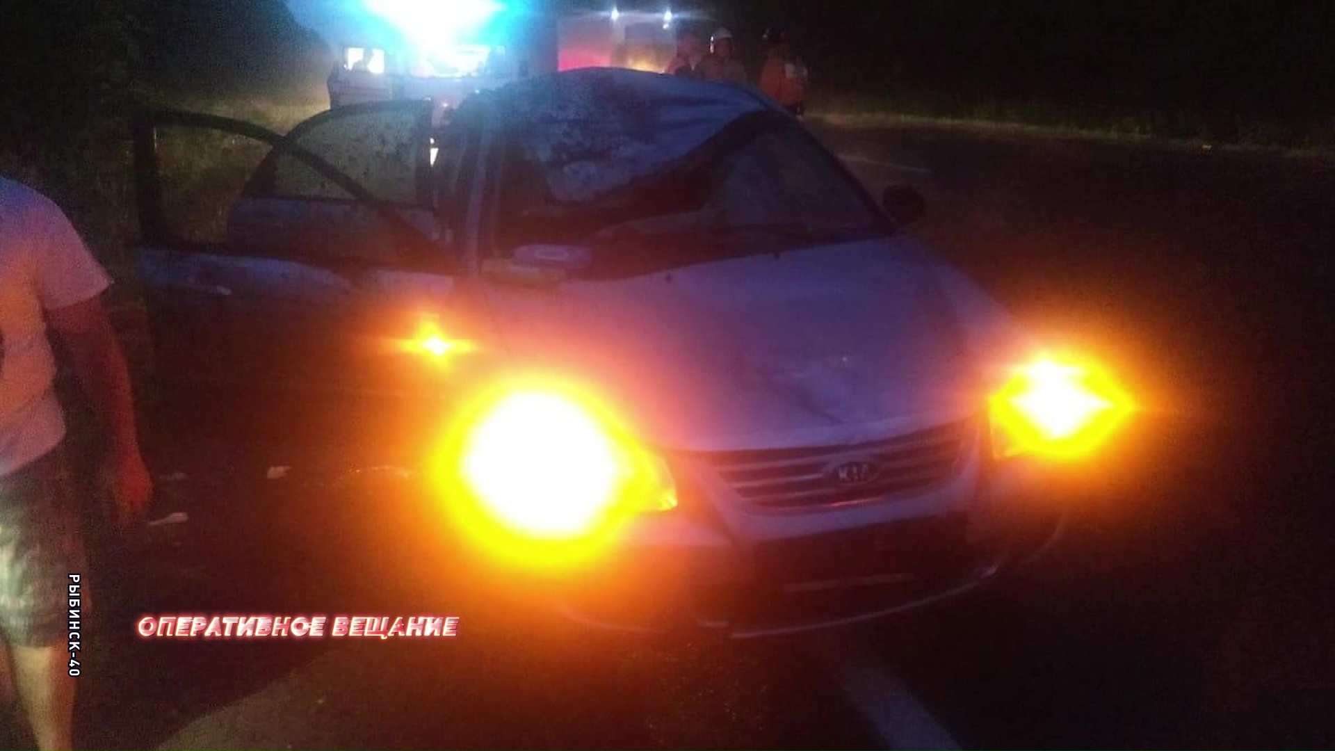 Под Рыбинском водитель иномарки сбил лося