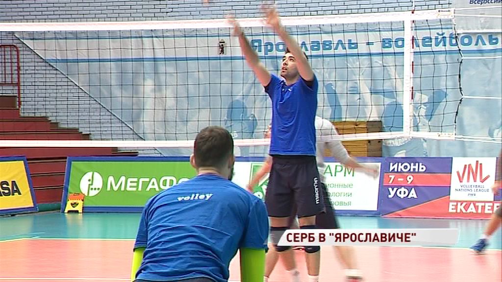 В «Ярославич» появился первый легионер в этом сезоне