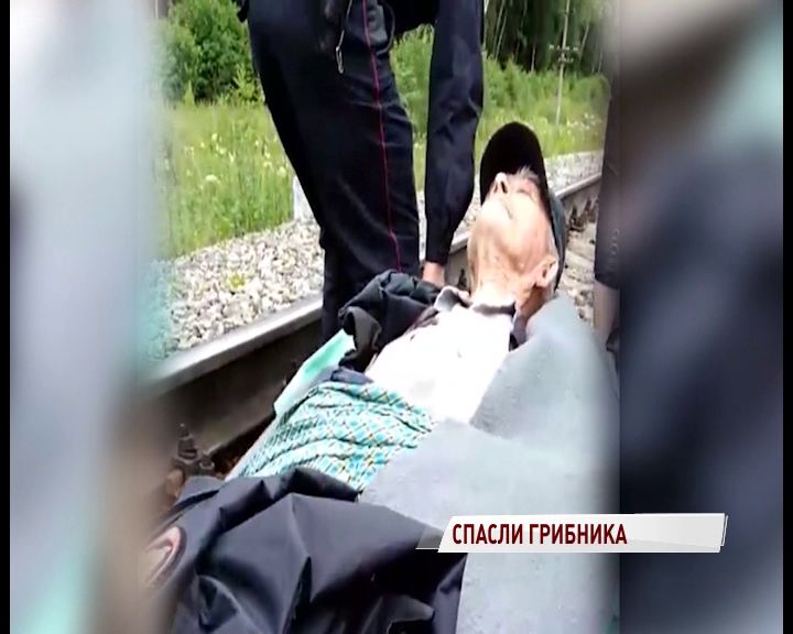 В Даниловском районе полицейские вынесли из леса потерявшегося пенсионера