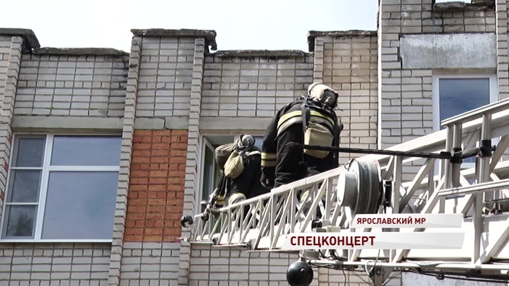 Спецслужбы организовали необычное выступление для ребят, отдыхающих в лагере