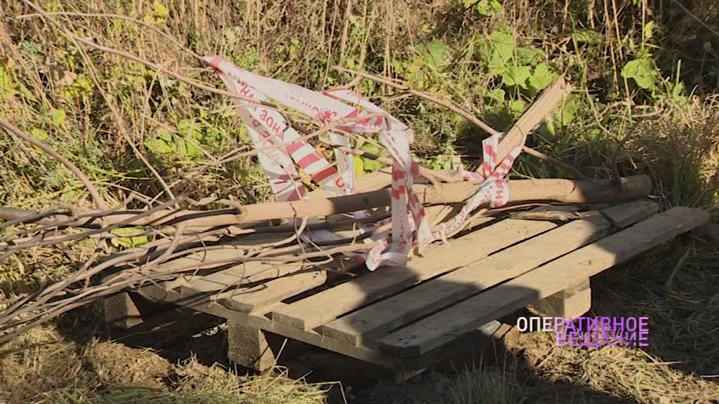 Спасатели ЦГЗ вытащили собаку из канализационного люка