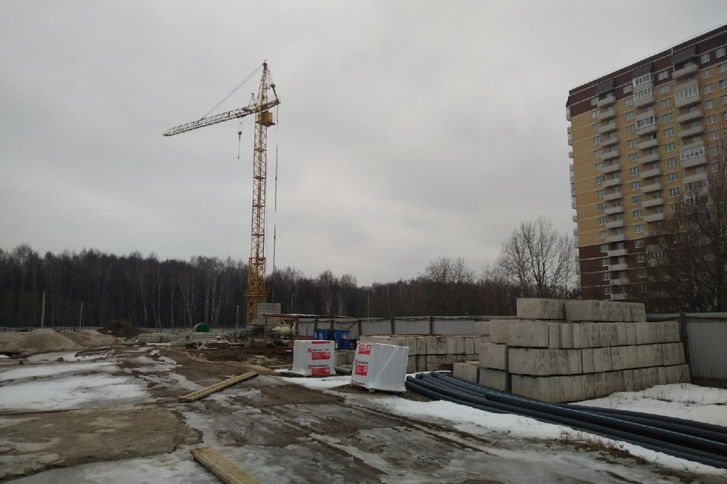 Территория памятника природы «Павловская роща» при строительстве дома не будет затронута