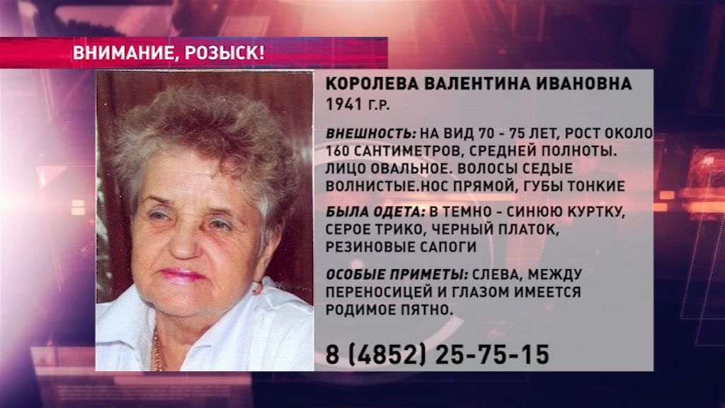 В области ищут пожилую женщину, которая могла заблудиться в лесу