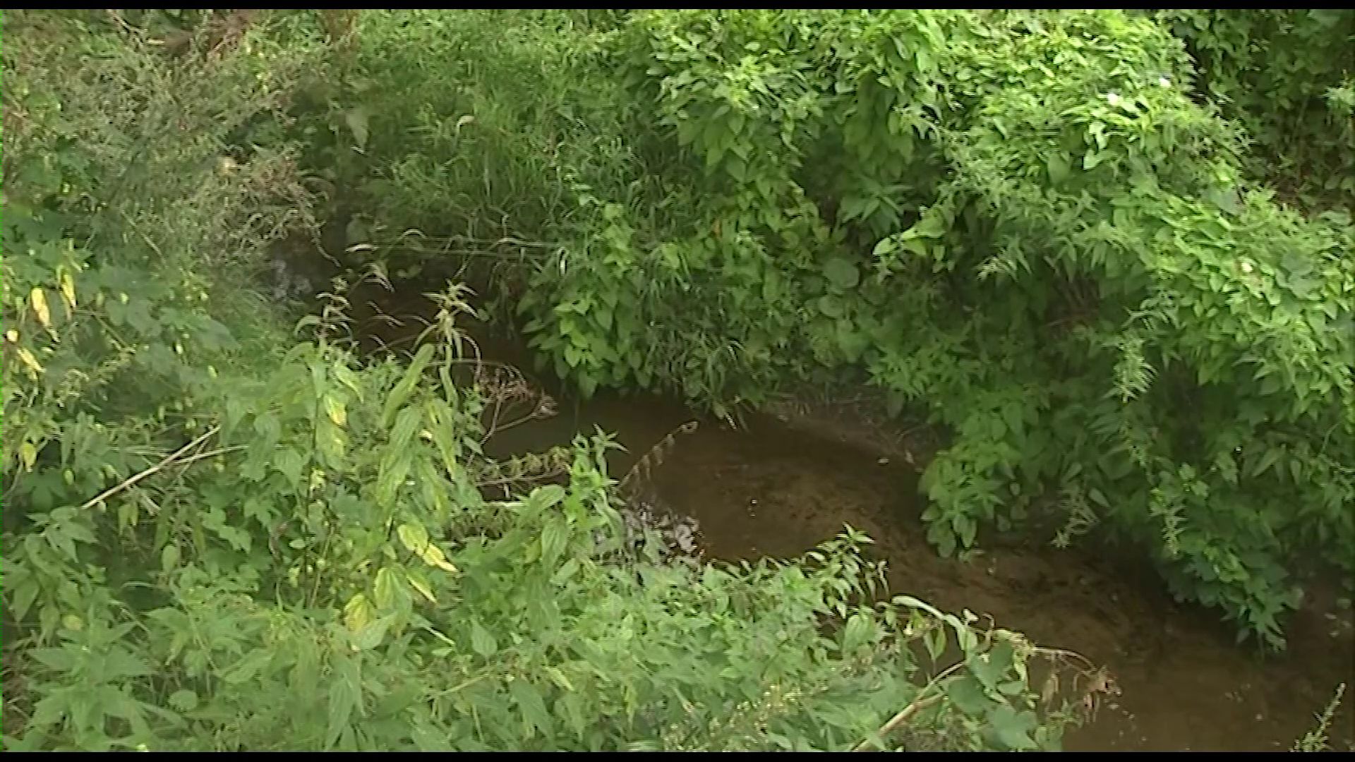 Фактов утечки фильтрата с территории полигона «Скоково» в реку Нору не выявлено