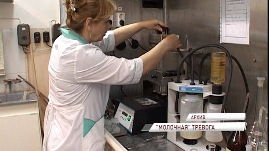 Роспотребнадзор забраковал несколько партий молочки в регионе: как обезопасить себя