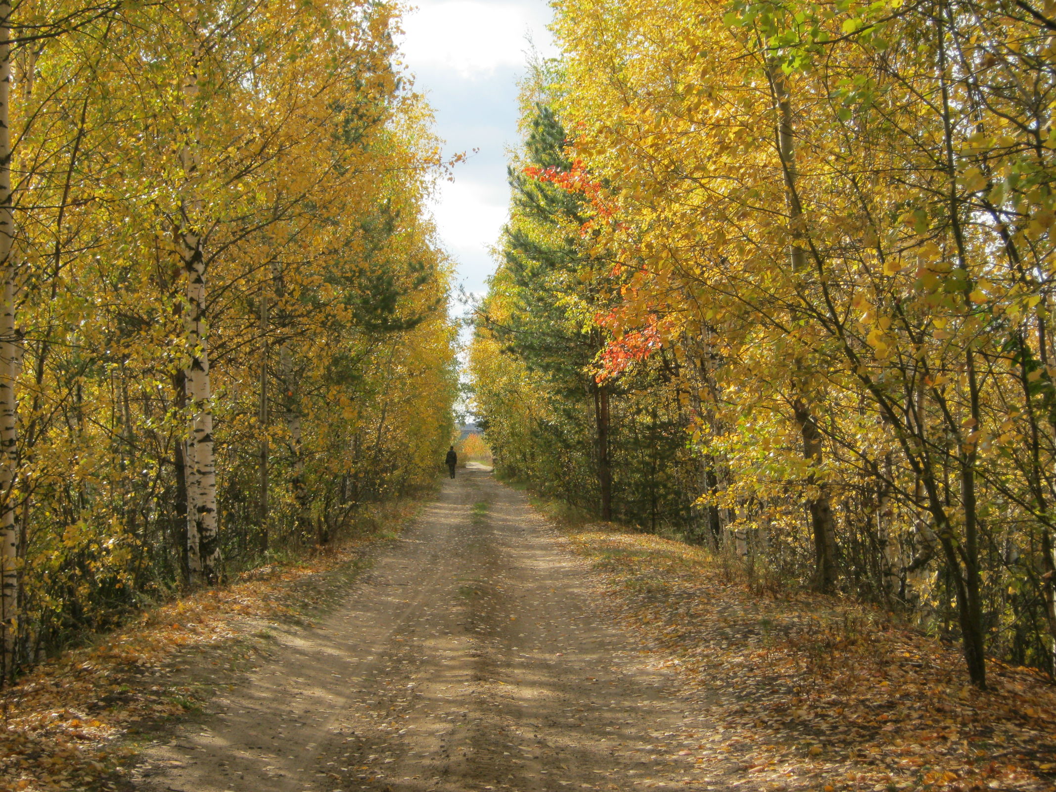 Бабье лето на пару дней возьмет паузу, затем вернется