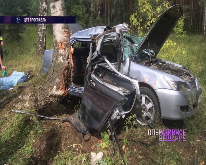 В Ярославле иномарка «намоталась» на дерево: есть погибший
