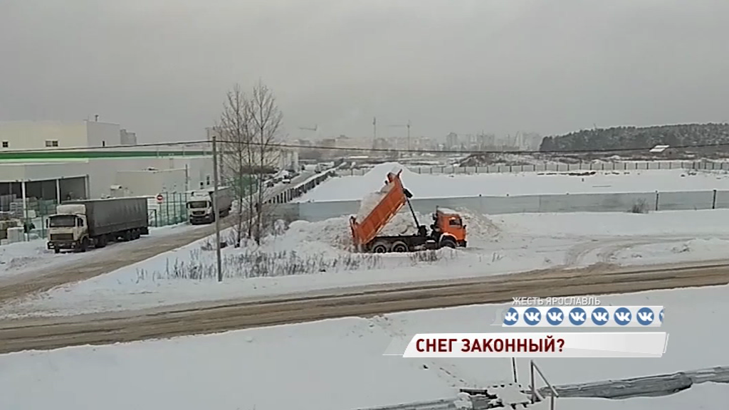 Заволгой появляются снежные горы: опубликовали видео свалки снега с ТЦ