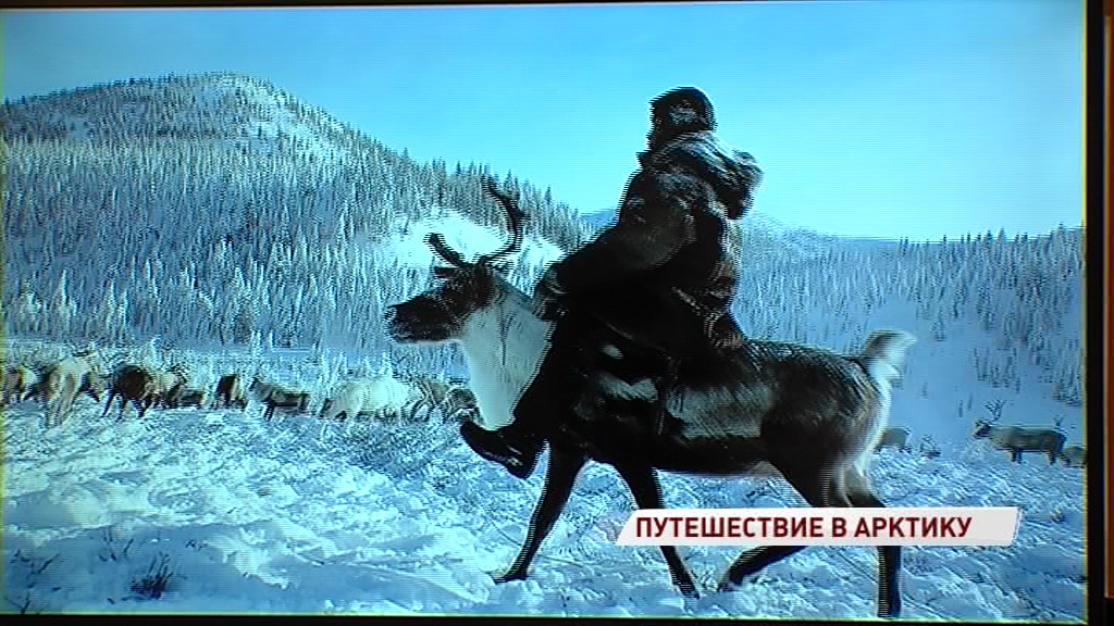 В Ярославль приедет Арктика: что ждет горожан на необычном фестивале