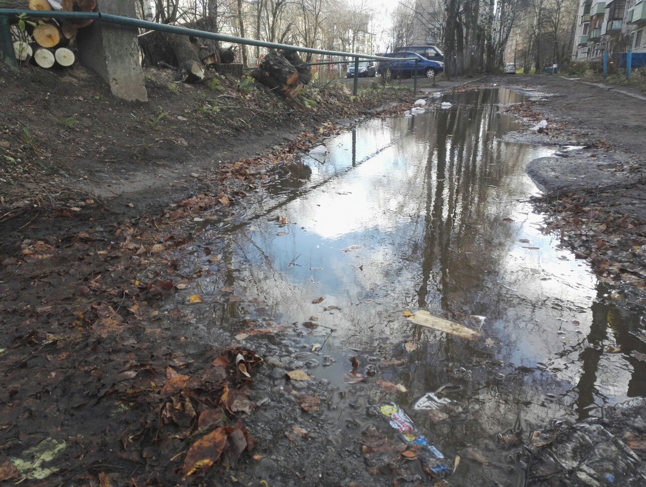 В Ярославле решили проблему с ямами после обращения горожанина в социальных сетях