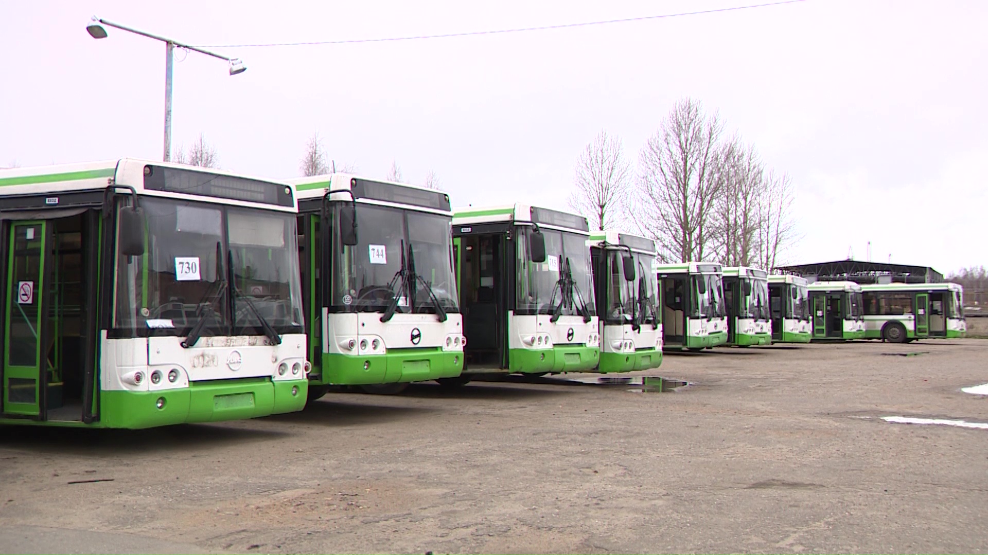 Работа пригородных автобусов в Ярославском районе восстановлена