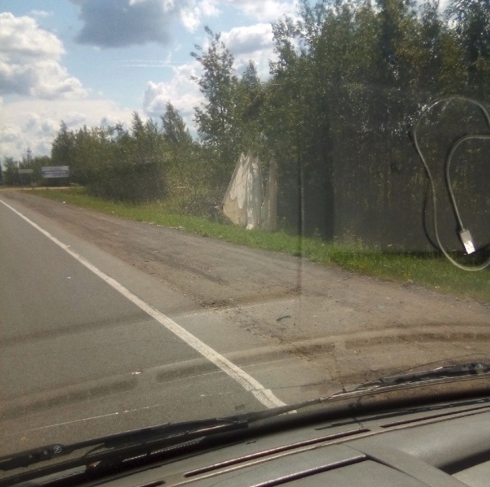 Парашютист в Ярославле немного не рассчитал место приземления