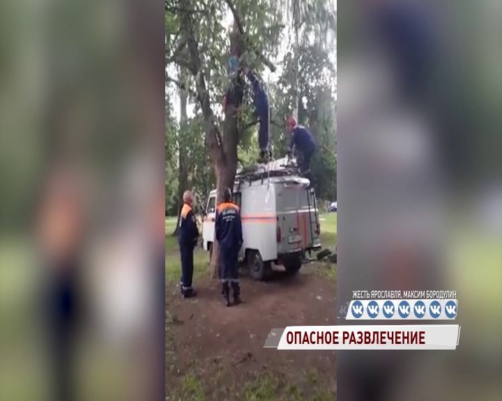 В Брагине спасатели сняли ребенка с дерева