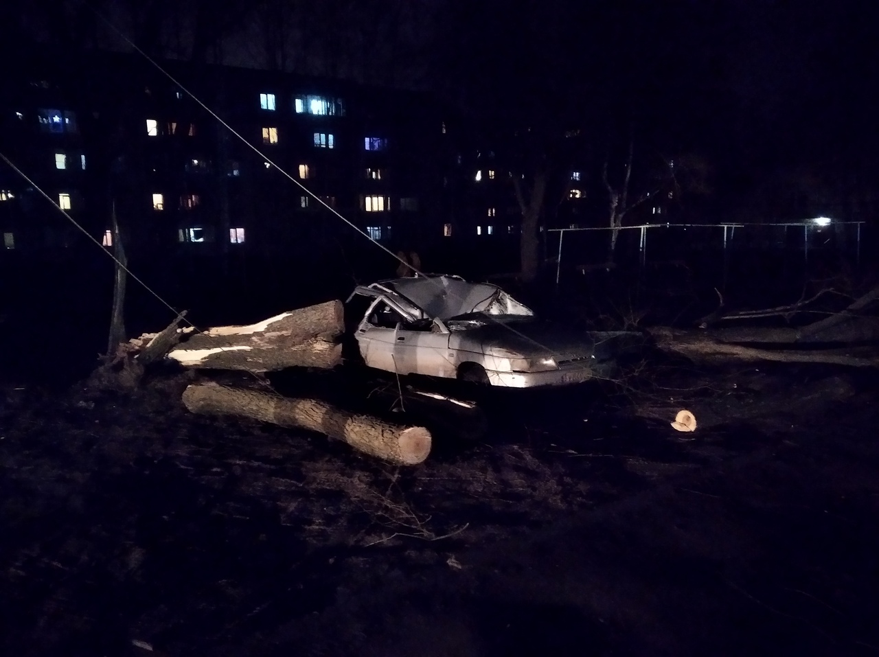 В Ярославле огромный тополь расплющил легковушку