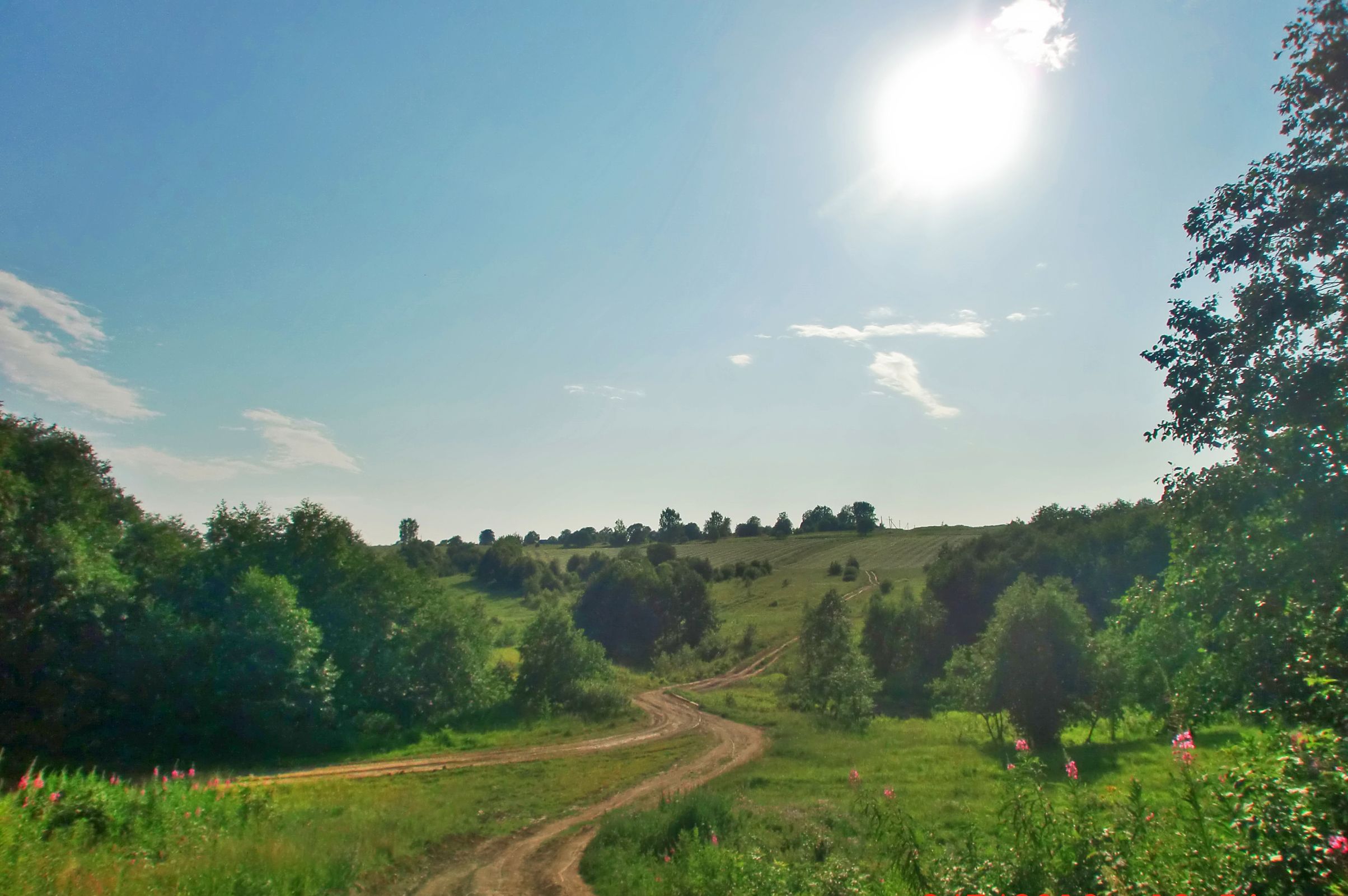 Узнать об экотрендах: ярославцев приглашают присоединиться к челленджу «Экооткрытие года»