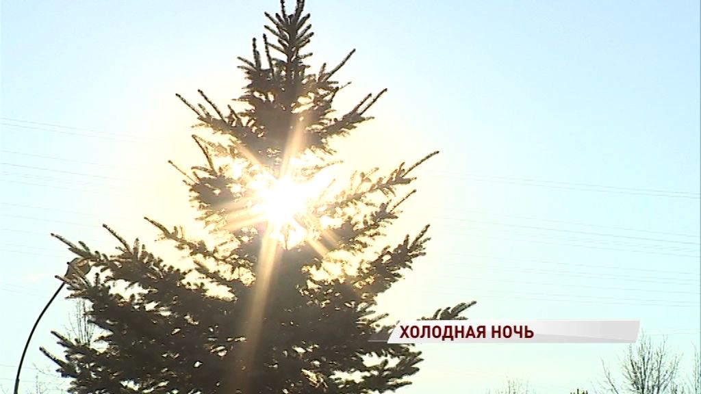 Синоптики: жителей Ярославской области ждут две суровые ночи