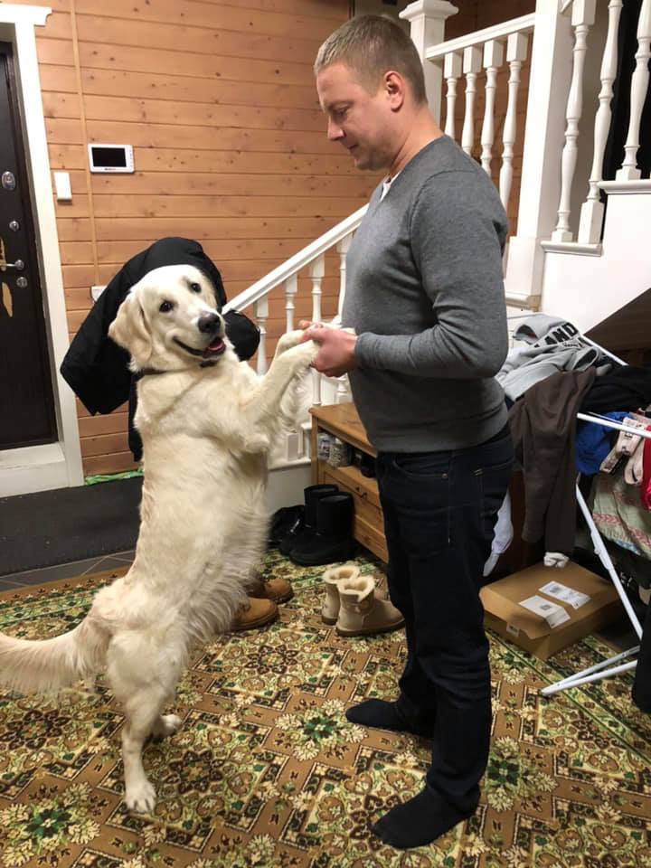 “Лежала в канаве пару дней”: ярославский депутат приютил брошенную хозяевами собаку