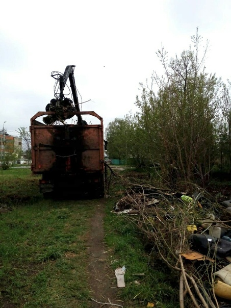 Ярославцы пожаловались в соцсетях на свалку: власти организовали уборку
