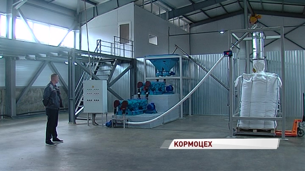 В Ярославле начали производить корма для аквакультуры