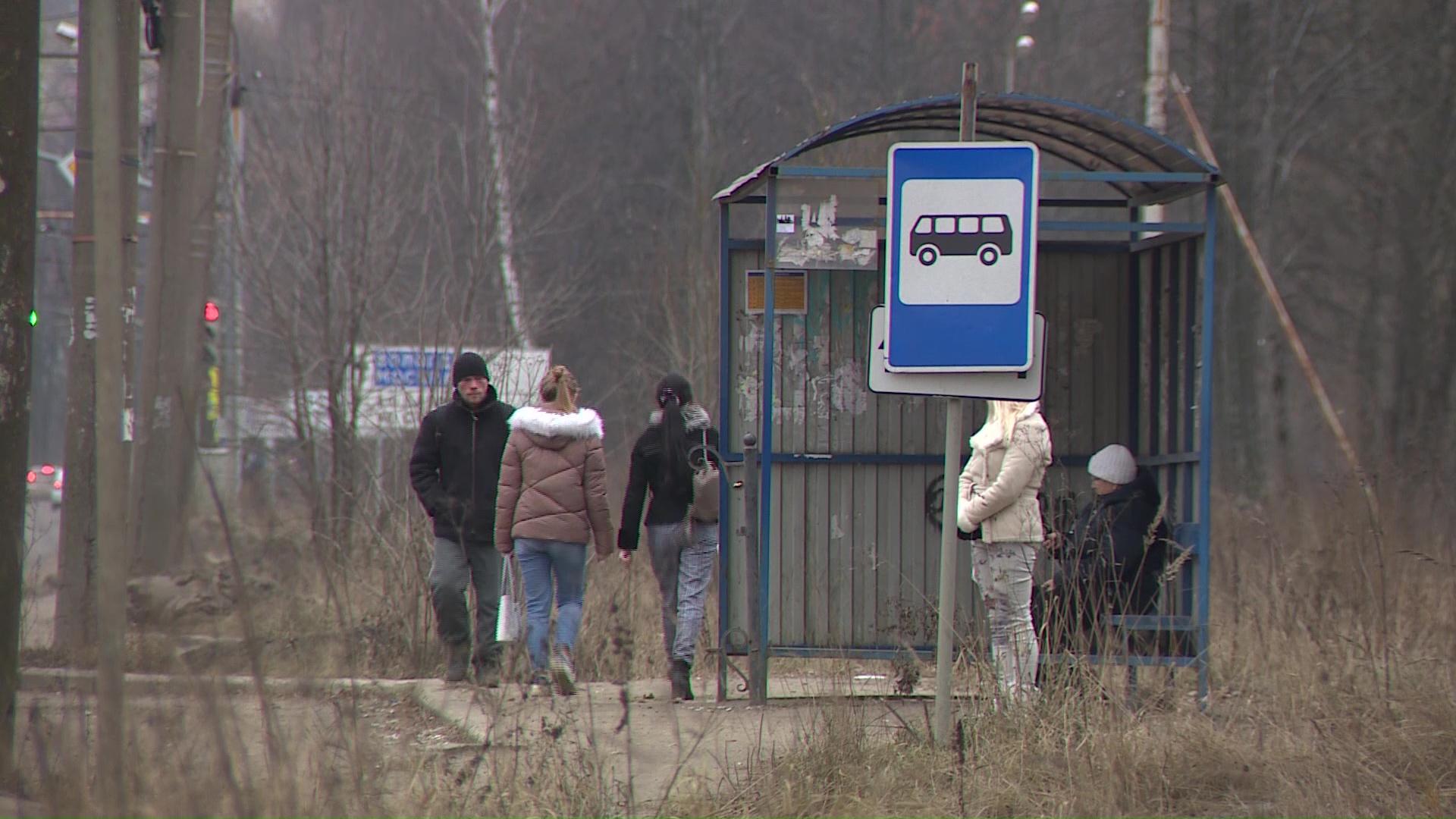 Автовладельцам могут сделать бесплатный проезд в общественном транспорте, чтобы на Тутаевском не было пробок
