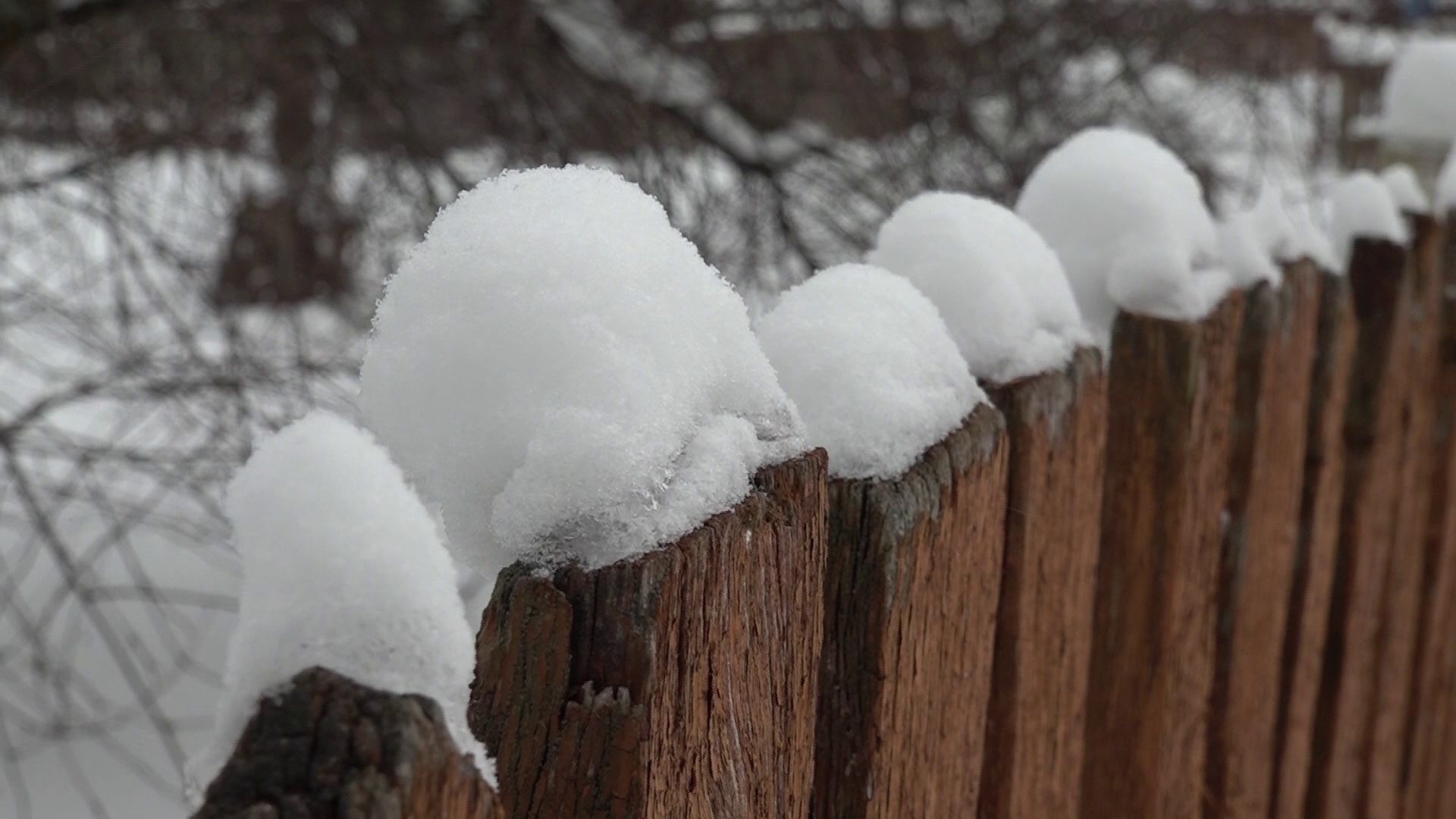 Ярославские волонтеры помогают пожилым людям убирать снег