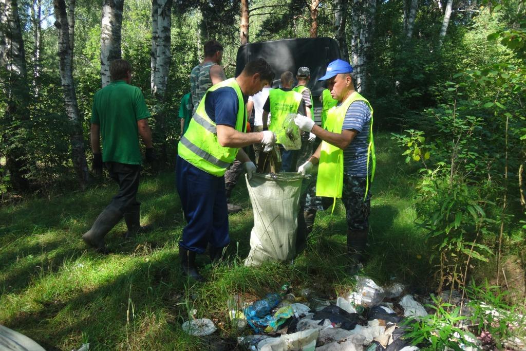 В Ярославской области ликвидировали 36 крупных свалок в лесах