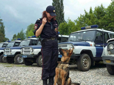 Собака Кристи помогла поймать грабителя