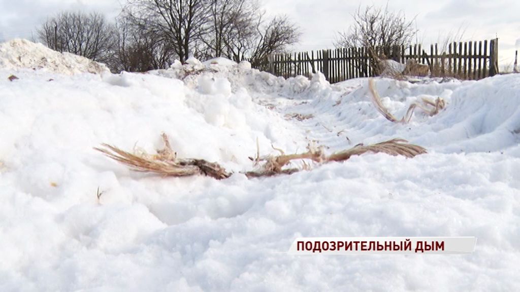 Сотрудники птицефабрики подожгли незаконное кладбище куриц