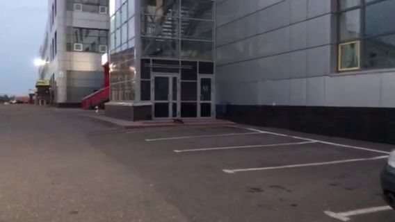 ВИДЕО: по улицам Ярославля уже бегают хорьки