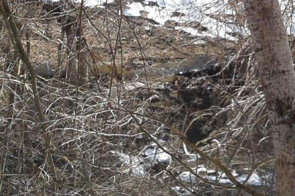 Птицефабрика заплатит около двух миллионов рублей на загрязнение реки