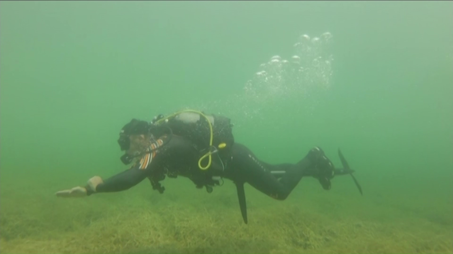 Переплыть Волгу за 8 минут: в Ярославле разработали новую модель водного велосипеда