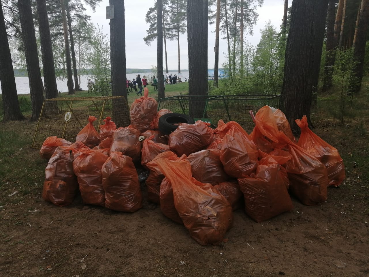 Активисты очистили от мусора два километра берега Волги