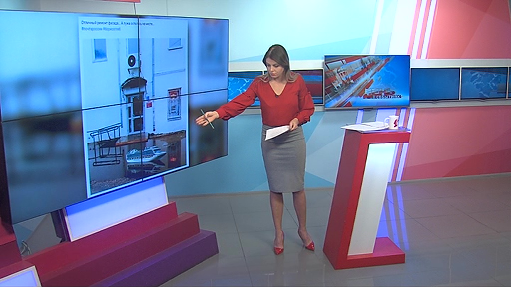 Ярославль превратился в фантастическое болото: кто живет в местных лужах