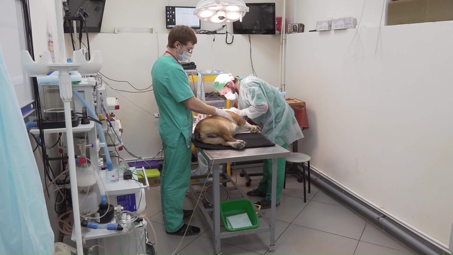 В Ярославской области продолжается поддержка малого и среднего бизнеса в условиях коронавируса