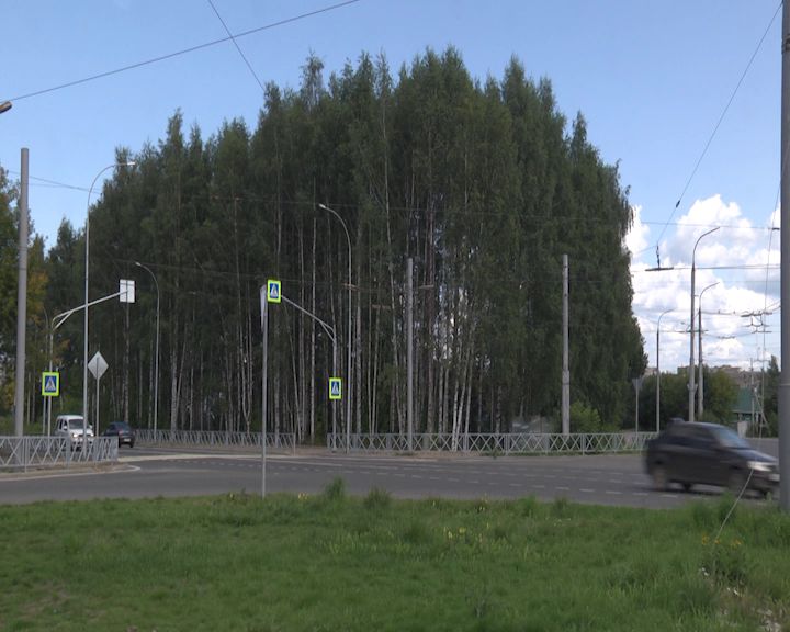 В Рыбинске отменили строительство часовни в березовой роще