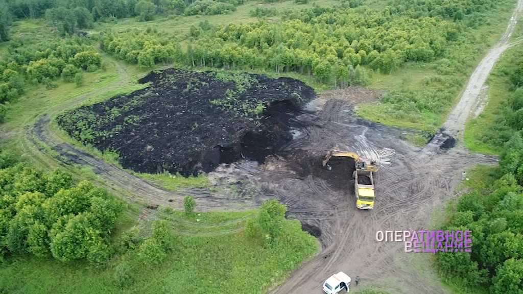 Под Рыбинском вычислили «черных копателей»