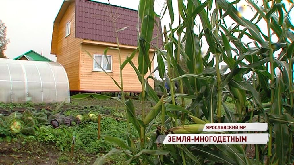 Многодетные семьи могут получить в собственность участки земли: как это сделать