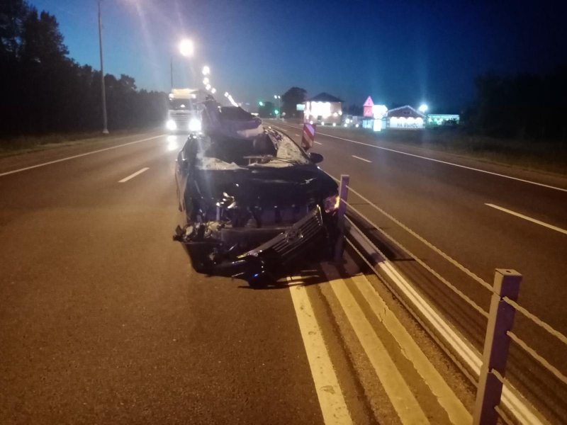 Авто всмятку: на трассе М8 легковушка врезалась в лося