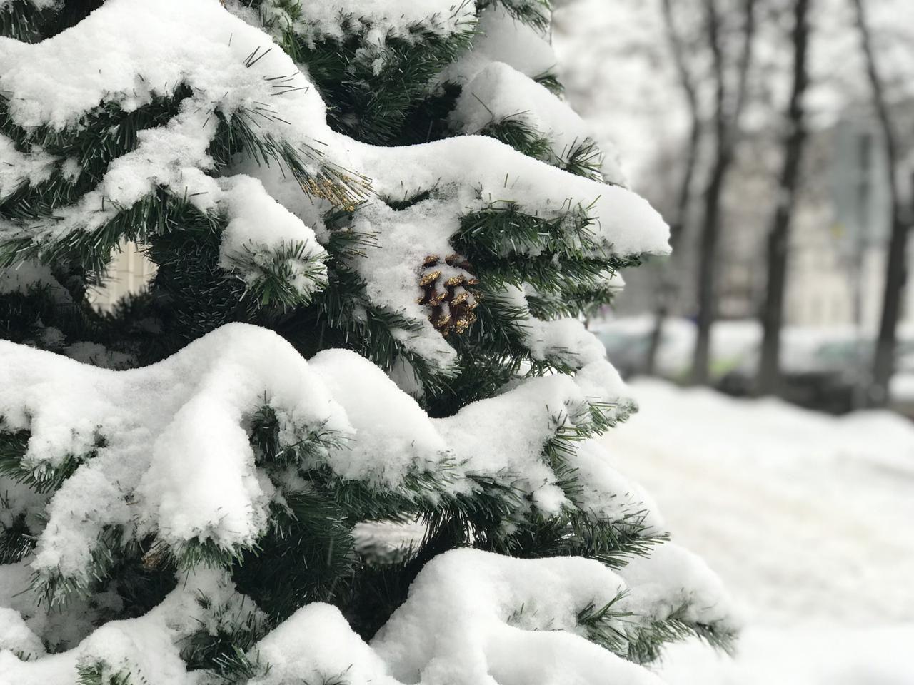В Новый год ярославцев зовут на Советскую площадь: что в программе