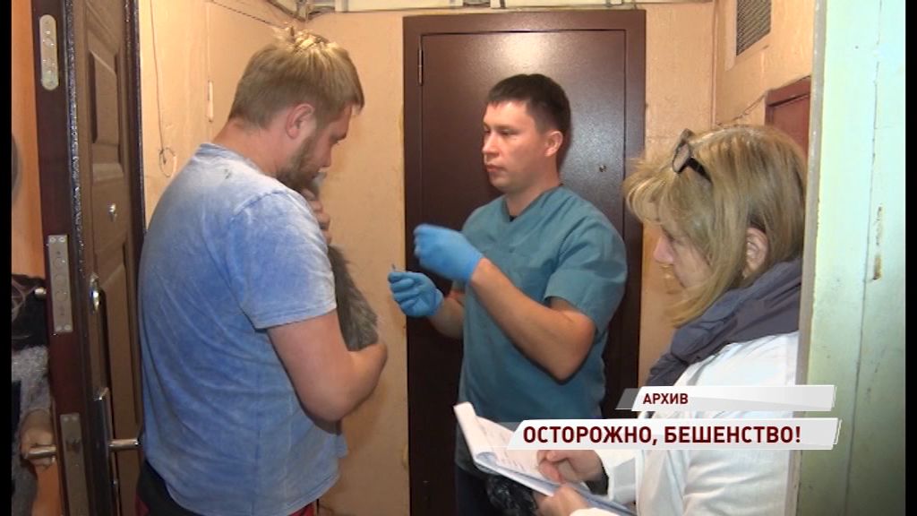 За месяц в области зафиксировано девять случаев бешенства