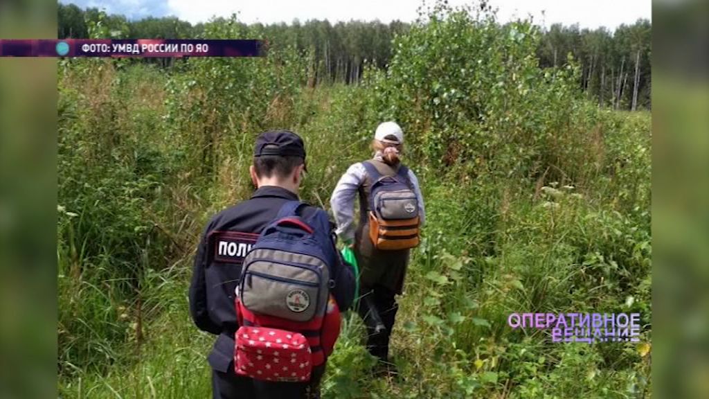 Борисоглебские полицейские помогли грибнику отыскать рюкзак